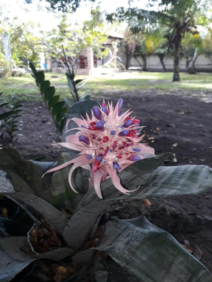 Recanto das burgavillias Igarassu Exterior foto